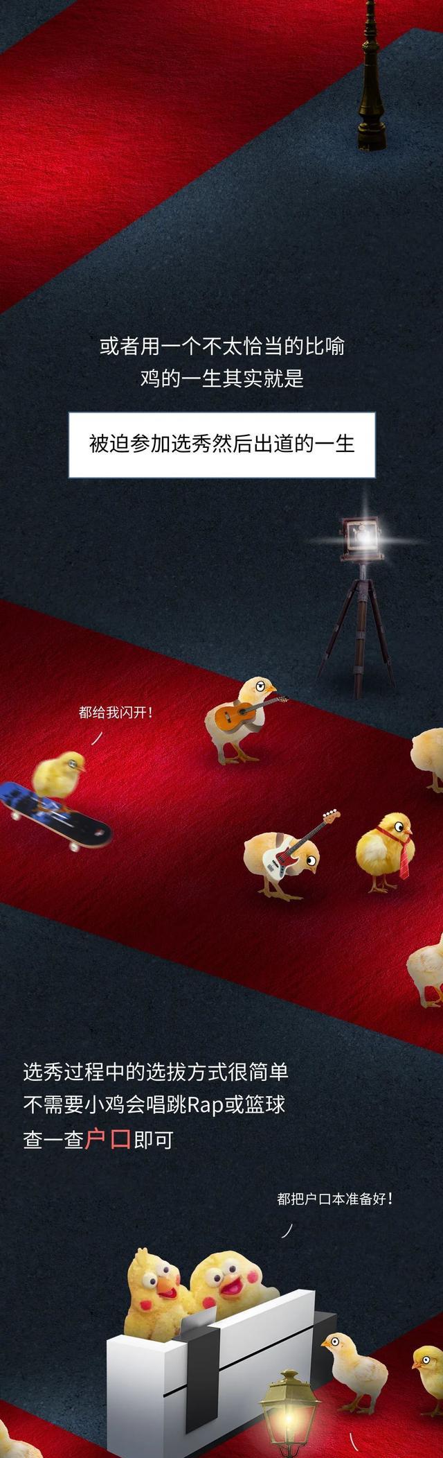 漫画|做一只“鸡”，到底有多累？一组漫画体会，你或许想象不到