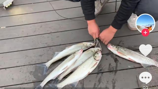 |四川邛海翘嘴泛滥，200张垂钓门票被抢空！钓友：4000一年很值