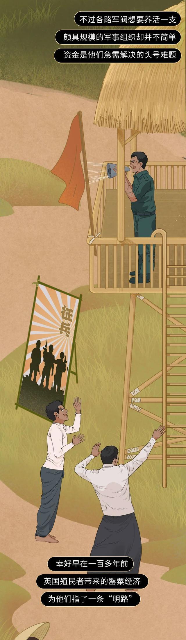 海贼王|真实的缅北,比热搜上的更“残酷”?(漫画)别被网络博主骗了!