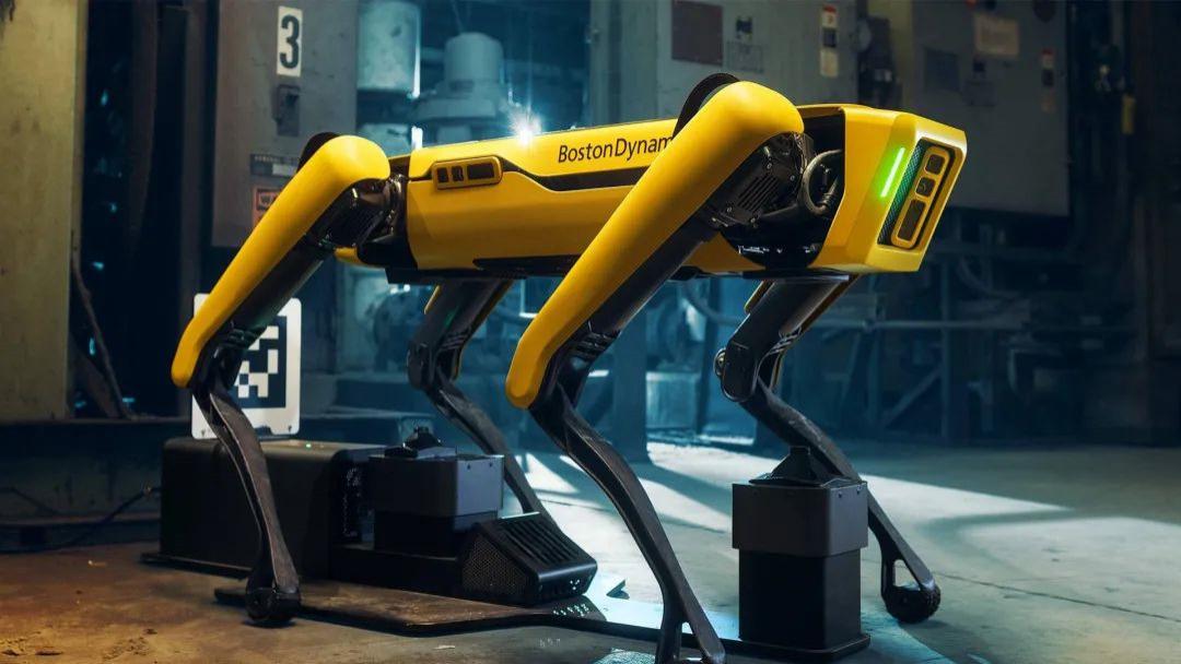 |数字化纪元中，一条“狗”的使命！