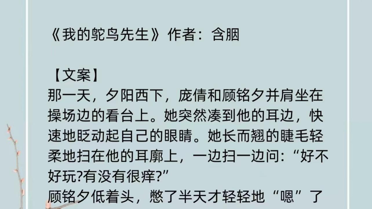 《我的鸵鸟先生》所有的苦难都将过去，螃蟹小姐终于找到她的鸵鸟先生