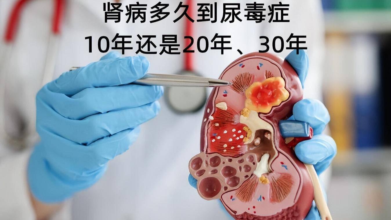 肝脏|肾病10年如今依然稳定，没有肾衰竭！52岁肾友分享这些护肾经验