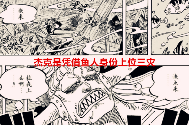 海贼王|海贼王1055话:原来杰克是凭借鱼人身份上位三灾,霸气没有烂大街