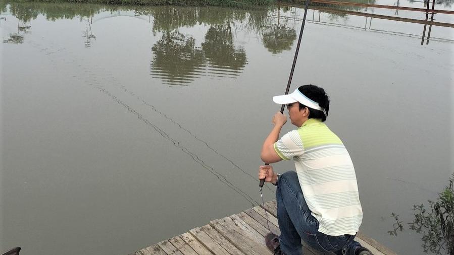 饵料|钓鱼“观漂识鱼”，弄懂这几种疑难漂相，可增加扬竿中鱼率