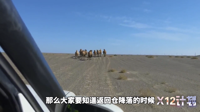 神舟|17年来首次,神舟13号竖直落地!落地后,突发一幕,骆驼横穿现场