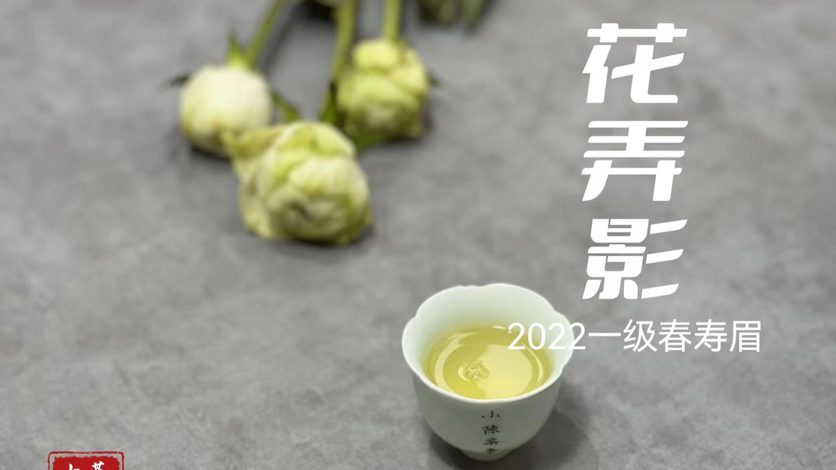 茶具|用过盖碗、紫砂壶、玻璃杯、保温杯，谁才适合泡白茶？一次说清楚