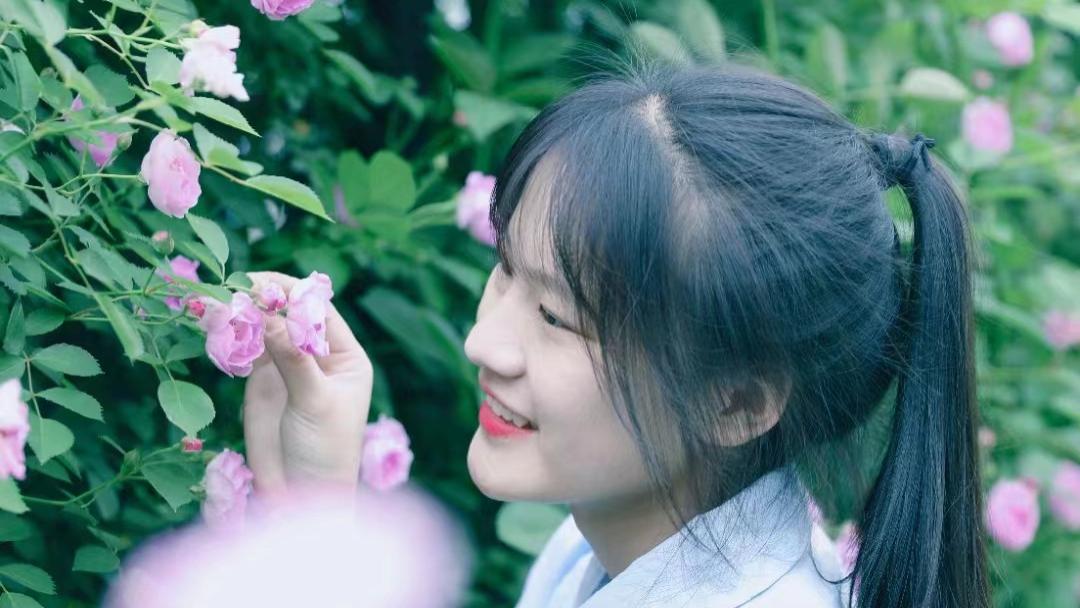 缙云|缙云赏花季 | 蔷薇花满架，不语也倾城