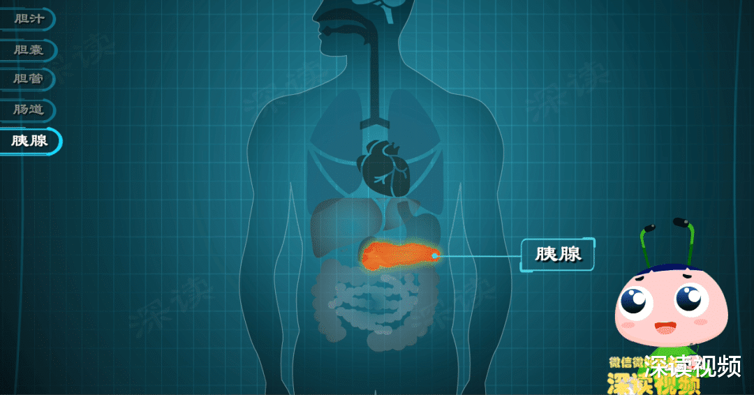 厌油恶心、腹泻、没胃口，看看你的胆汁是不是被胆管结石堵住了？