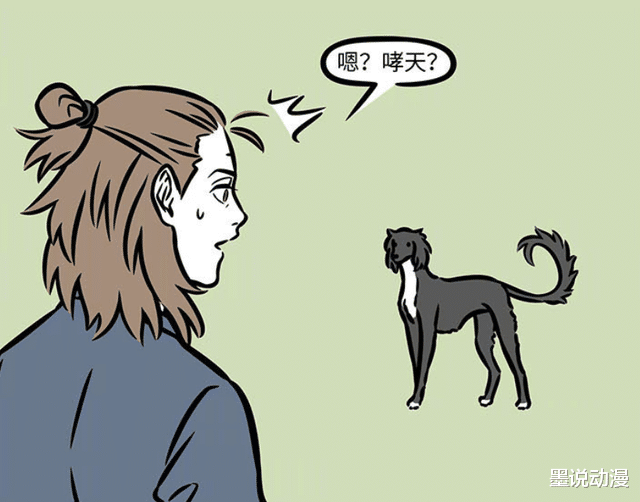哮天|非人哉：黑色细犬登场，哮天再次吃醋，杨戬很喜欢它