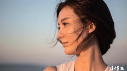 李兆会|看到官方天价悬赏抓捕李兆会的消息，我才发现车晓的离婚有多明智