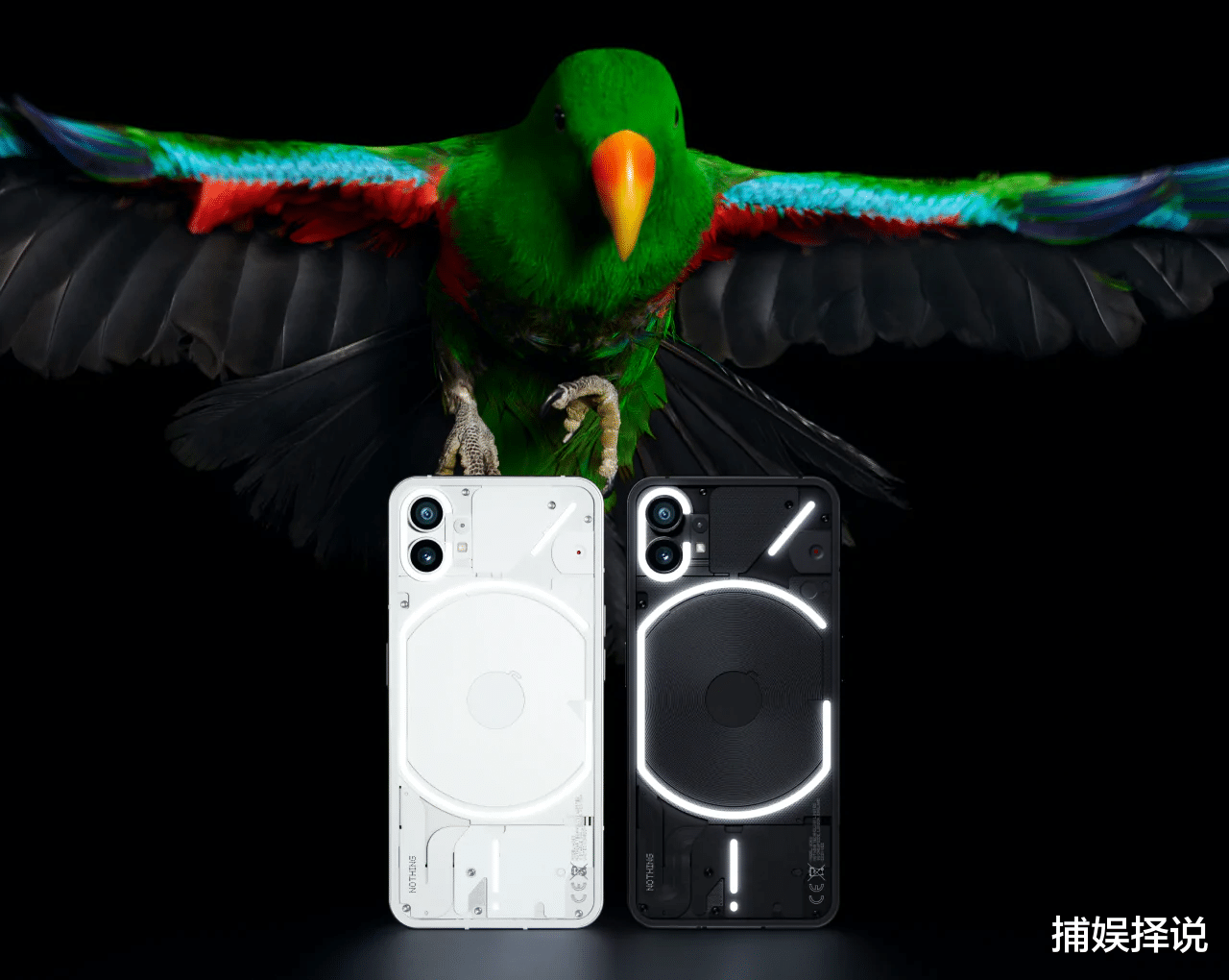 数字人民币|又一台小米10?Nothing Phone(1)尝鲜用户吐槽遇到绿屏和葫芦屏