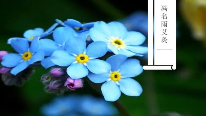 谷雨|血瘀：频繁打哈欠，警惕脑中风？记住这个穴位，早预防