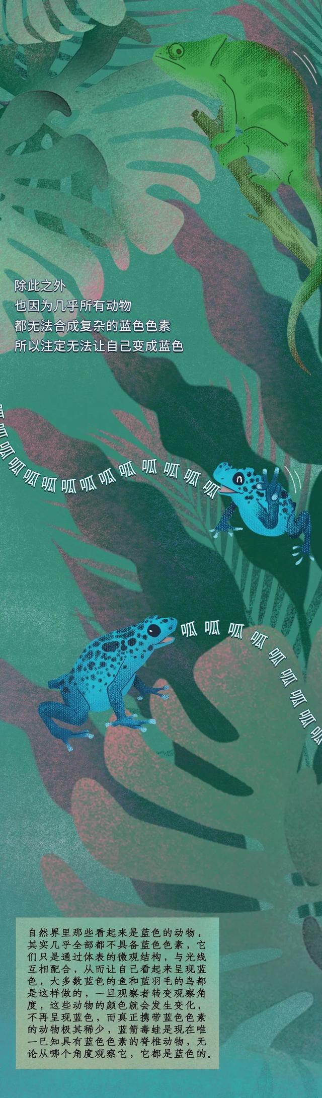 漫画|漫画曝光:世界上“最神秘”的颜色,难怪文艺青年都喜欢