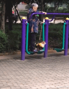 小米科技|“路由器上邦电池，信号特别强！”网友：宇航员都问我要密码！