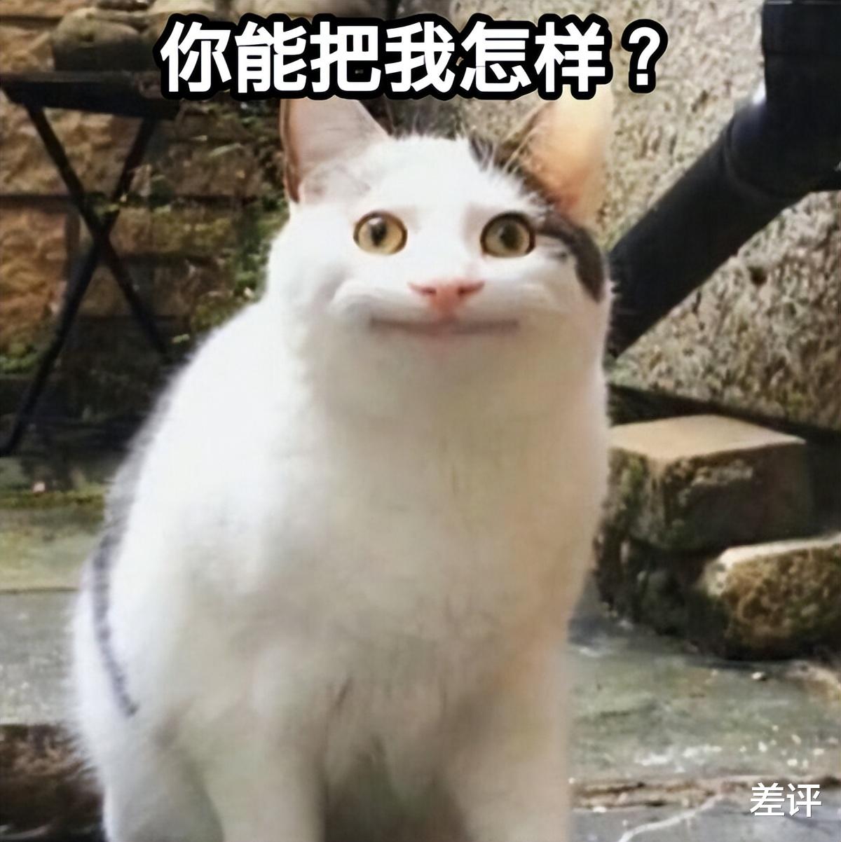 vivo|腾讯把vivo告上法庭，就因为被断了财路？