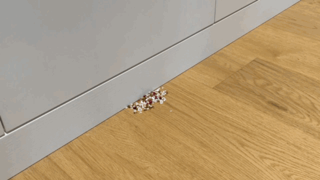 机器人|洗地机、扫地机器人、吸尘器有必要全部入手吗?该怎么选择?