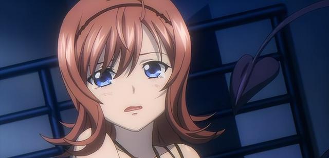 acgn漫评|STB完结撒花,晓古城的十二个血之伴侣都有谁?南宫那月成为遗憾