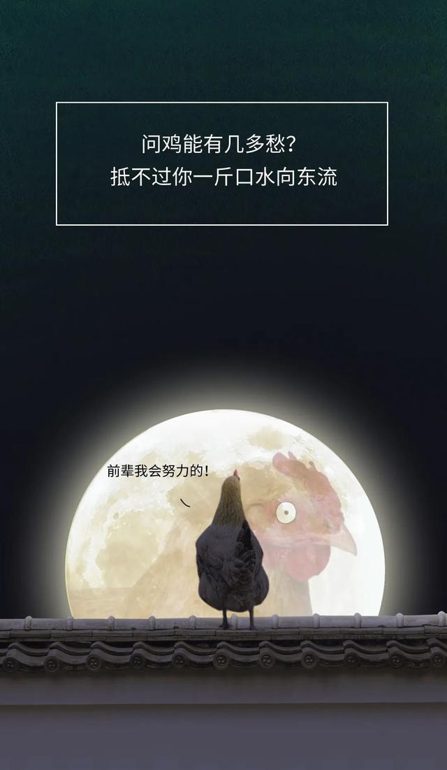 漫画|做一只“鸡”，到底有多累？一组漫画体会，你或许想象不到
