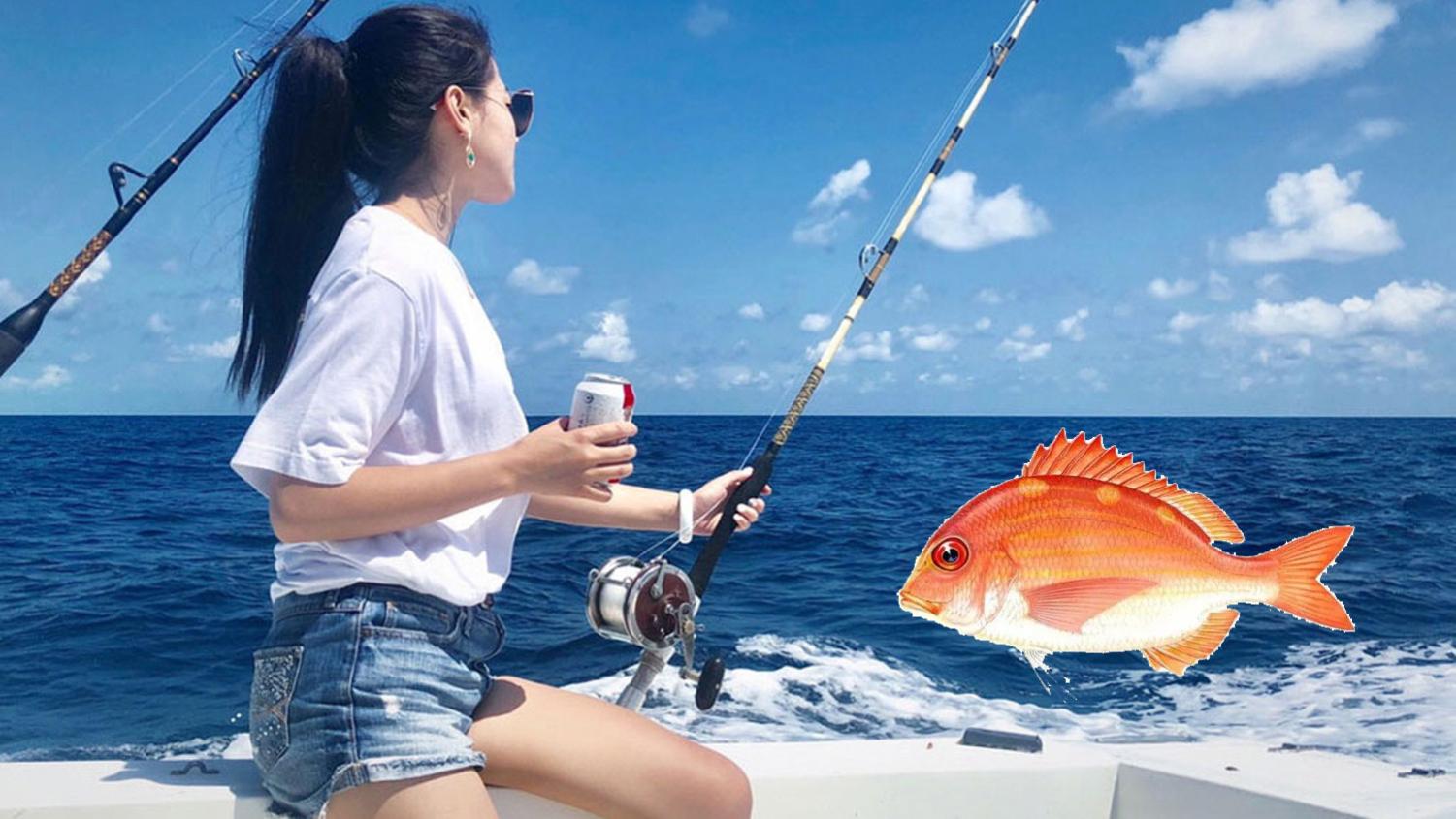 海钓|海钓鱼饵中添加什么物质，能够提高鱼饵的诱食效果？海水鱼诱食剂