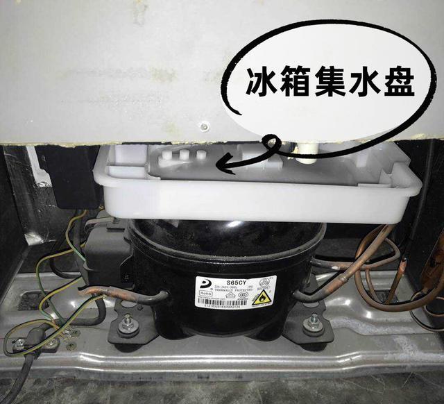 彩电|冰箱积水结冰可能不是小毛病，重点检查3个地方，省电省钱还卫生