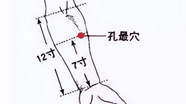 经络|经络穴位，一日一学——孔最，久坐不痔的秘诀