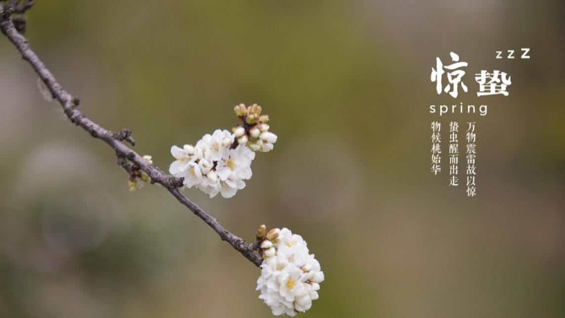 明日惊蛰，多吃“1果1糕3菜”，顺时而食，助力健康，全家人受益
