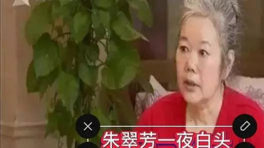 女子把房子租给租客15年，连续十年没涨房租，却被租客告上法庭