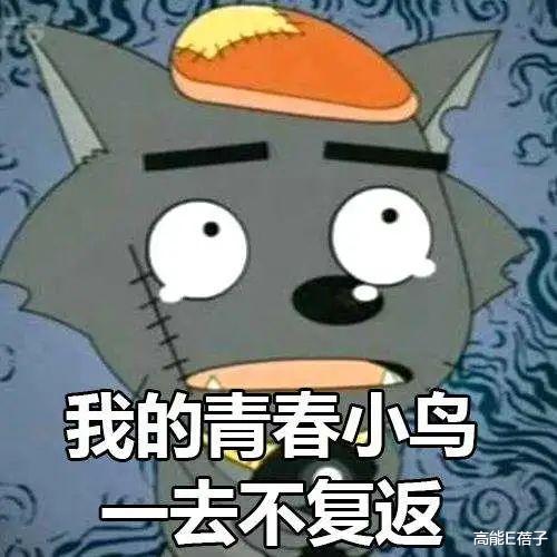 配音|N年前的“老古董”动画，没它们不敢请的人！