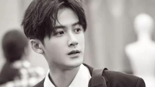 檀健次|为何檀健次，罗云熙爆火？“归国四子”却好像越来越困难了