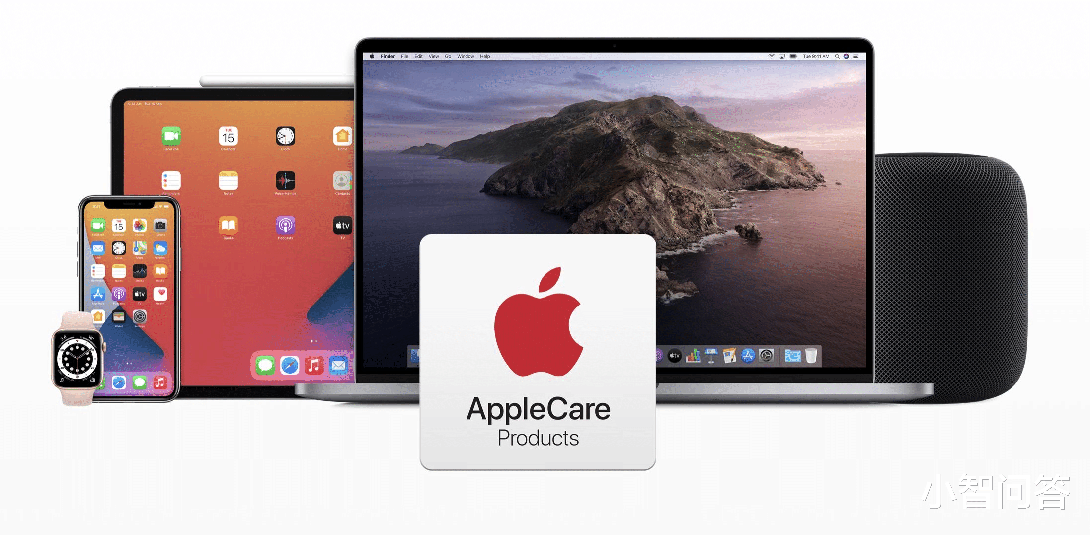 苹果|如何看待购买Apple care+后故意损坏手机的行为？