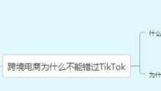 tiktok|TikTok—跨境电商站外引流的重要渠道