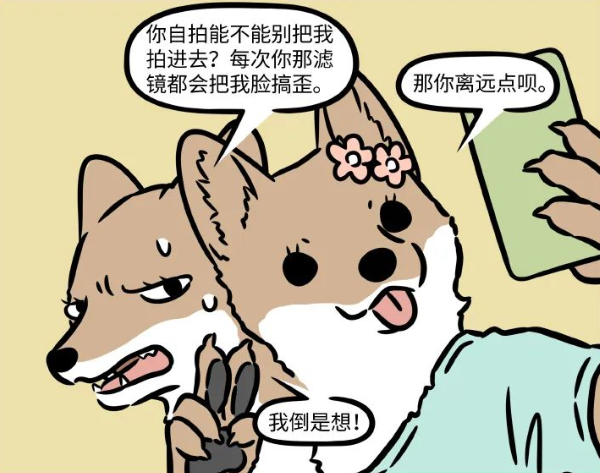 非人哉|非人哉又有新角色,是一对姐妹!可能还会因此引出新角色!