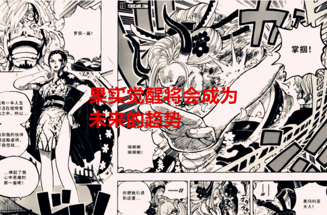 海贼王|海贼王1049话解读：又要改口？罗宾不是花花果实，而是人人果实