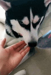 投影仪|女老师课后忘关投影仪，搜索记录被公开