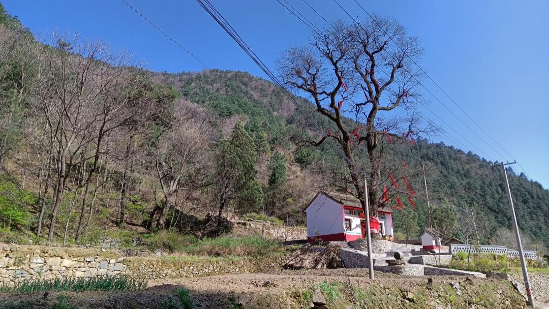 广西|西安海拔1100米的秦岭小村，清泉石板路，古树老土屋，自带野生美！