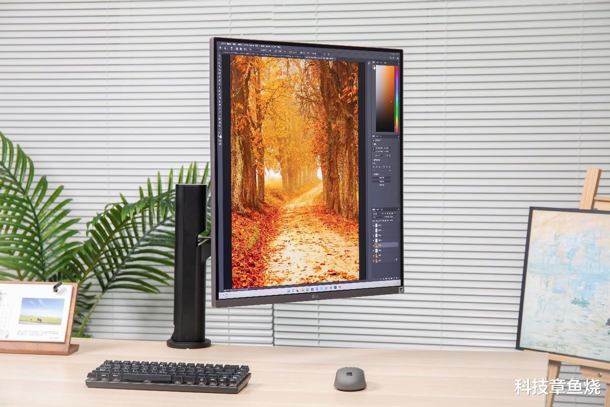 英特尔|办公总是腰酸背痛?看看这几款显示器或许让你更舒服