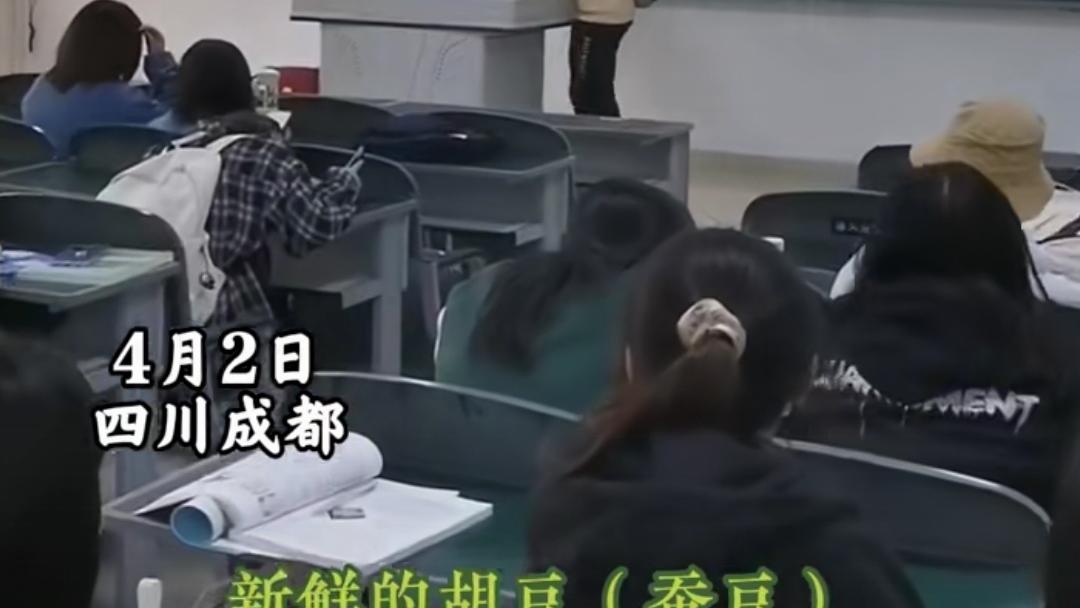 牧风芳华 劳修课上，男生把收获的蚕豆卖给老师，网友：毕业后饿不着了