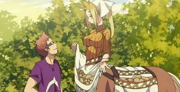 原创|二次元入门：什么是表番？！