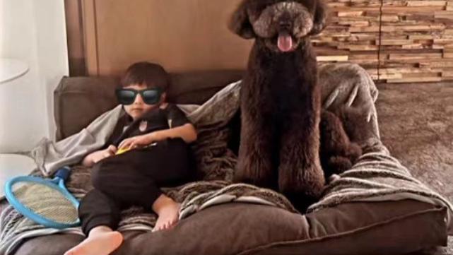 昆凌|昆凌晒孕期生活，调侃儿子好酷，4岁罗密欧慵懒仰沙发上似小霸总