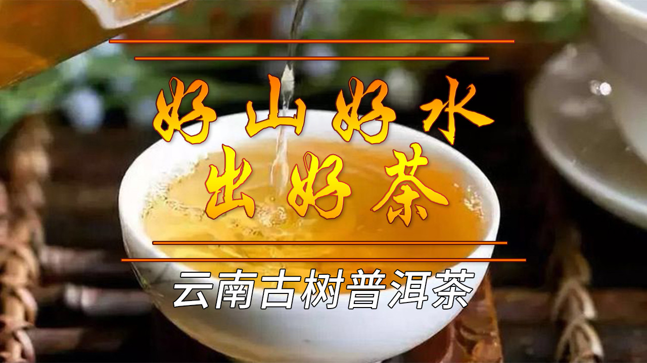 鸡蛋|“老华说茶”为什么上好的茶料 几乎不做熟茶
