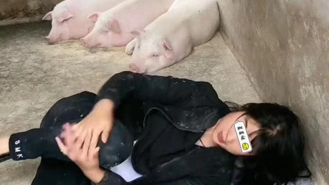 |一位年轻女子，躺在饲养猪的猪圈里大喊：说好了包吃包住