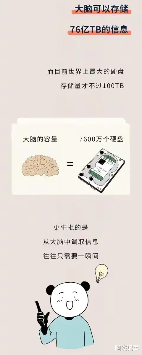 硬盘|人类大脑的存储量你知道吗?