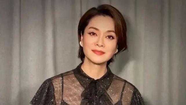 毛阿敏|天后歌唱家的跌宕人生