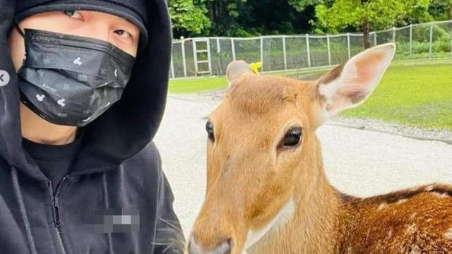 小S|周杰伦点赞王嘉尔新歌，歌迷不干了：不务正业，咋连战队也不管了