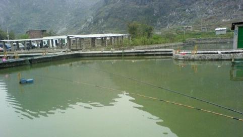 |想了解一个人钓龄时间多长，看他出门钓鱼的时间就知道