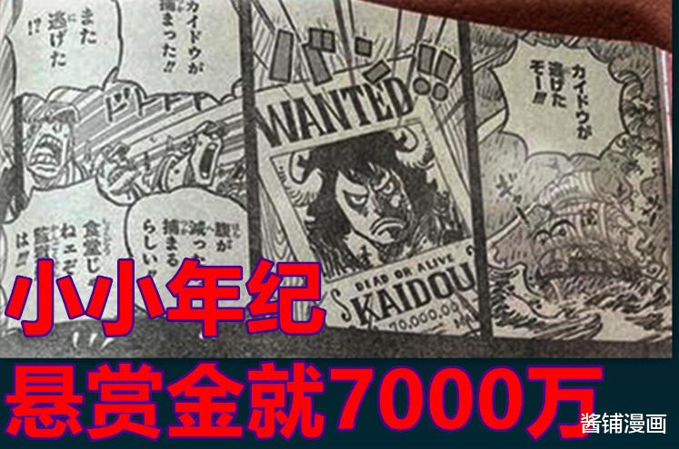 五老星|海贼王1049话，少年凯多悬赏七千万，五老星本想培养凯多成为赤犬与黄猿