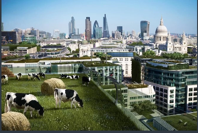 折叠屏|未来十年，这些永远改变我们生活的技术，而不是科幻小说