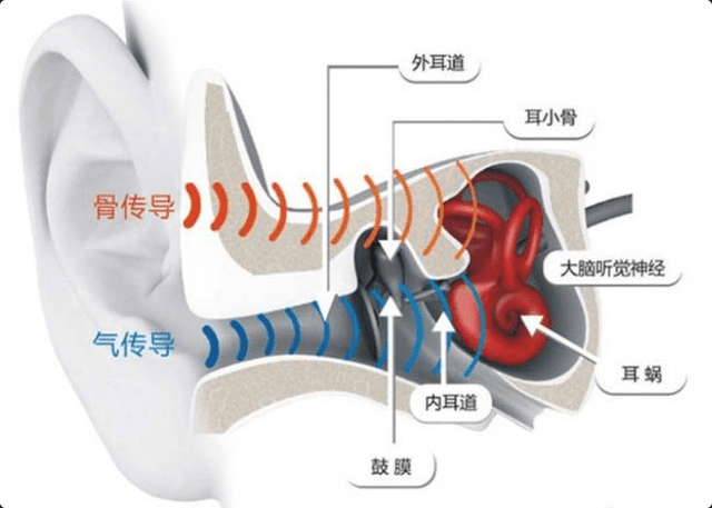 骨传导耳机|骨传导耳机和气传导耳机哪种更好? 骨传导耳机为什么受市场用户青睐