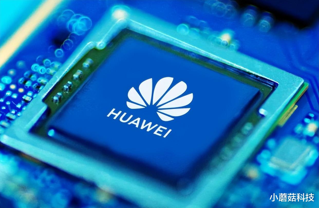 华为|损失超10万亿,美媒:断供企业将“自食其果”!
