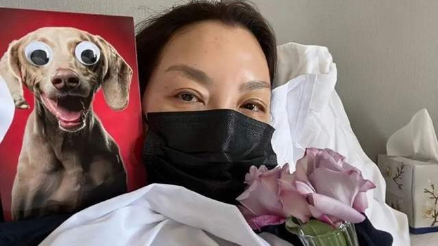 杨紫琼|杨紫琼自曝确诊新冠，女星杨紫水军又跑错场，引发网友群嘲